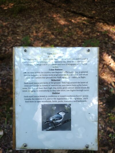 James W McIntyre Trail Indian Lake - Central City, PA