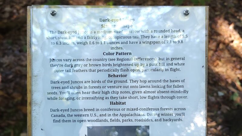 James W McIntyre Trail Indian Lake - Central City, PA