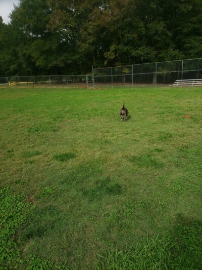 Norris Community Park - Central, SC