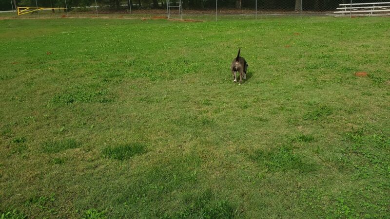 Norris Community Park - Central, SC