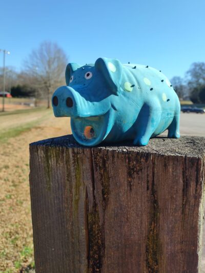 Norris Community Park - Central, SC