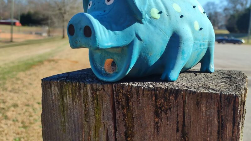 Norris Community Park - Central, SC