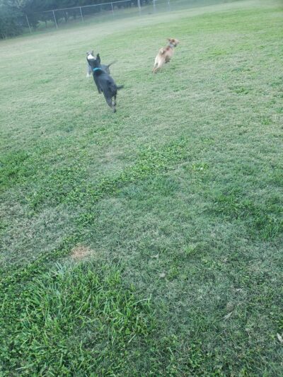 Norris Community Park - Central, SC