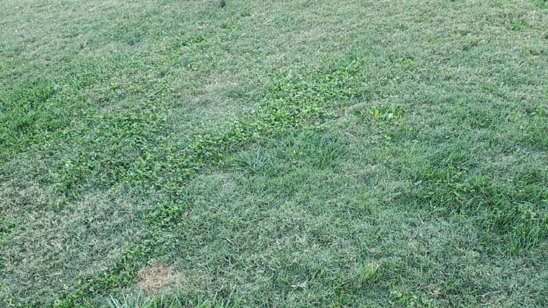 Norris Community Park - Central, SC