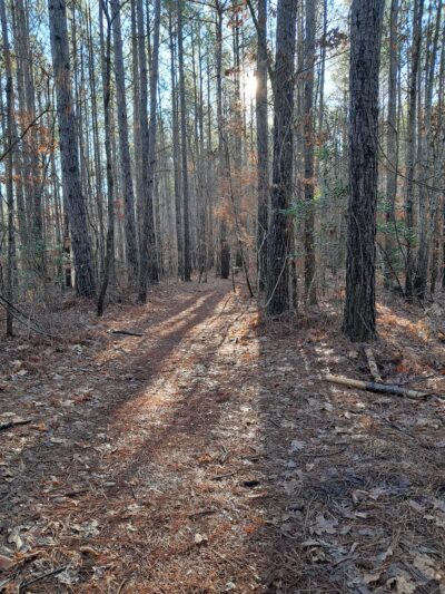 Public Parking - Central, SC