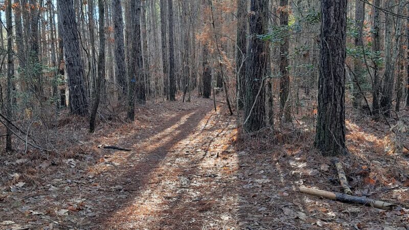 Public Parking - Central, SC