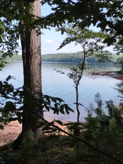 Public Parking - Central, SC