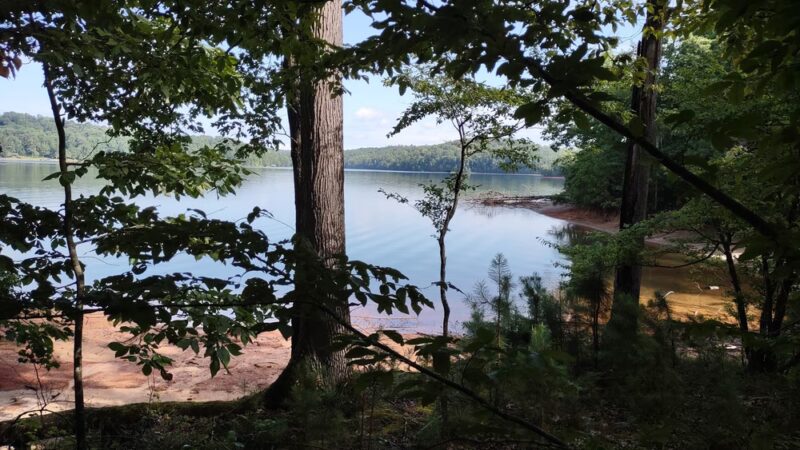 Public Parking - Central, SC