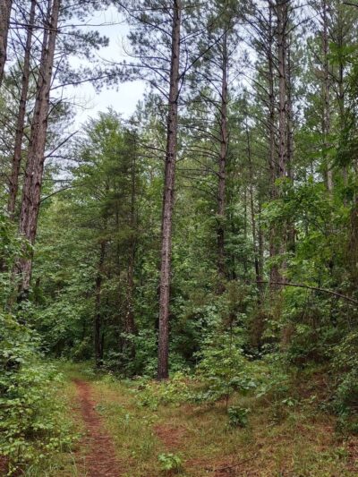 Public Parking - Central, SC