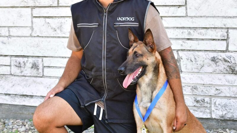 Jocko's Ruff House - Central Square, NY