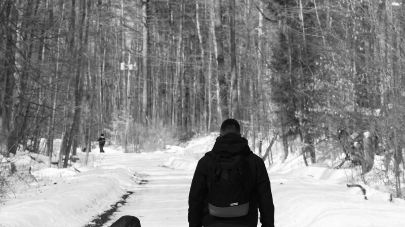 Jocko's Ruff House - Central Square, NY