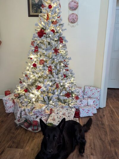 Bow Wow Resort and Spa - Centre, AL