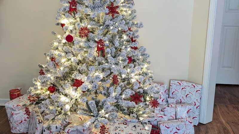 Bow Wow Resort and Spa - Centre, AL