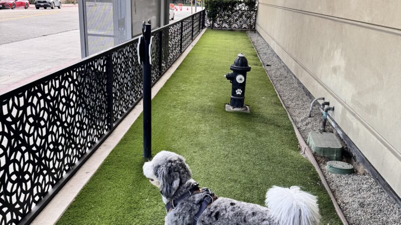 Dog park - Century City, CA