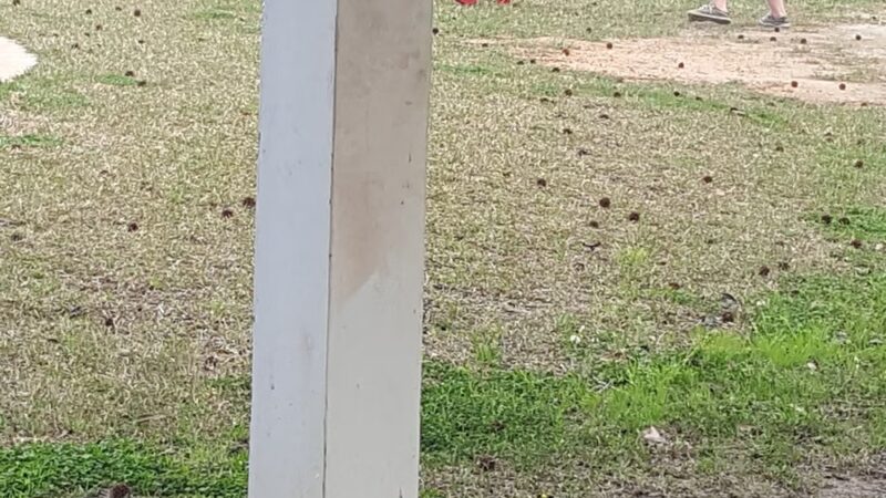 Showalter Park - Century, FL