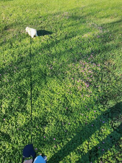 Travis Nelson Park - Century, FL