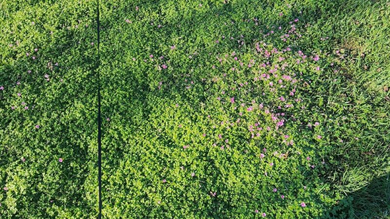 Travis Nelson Park - Century, FL