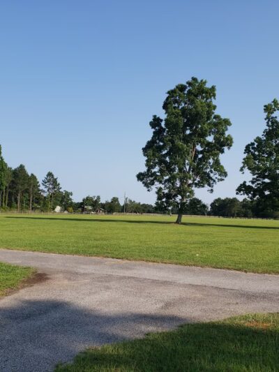 Travis Nelson Park - Century, FL