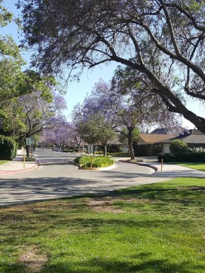 Cerritos Park East - Cerritos, CA