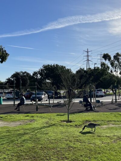 Don Knabe Community Regional Park - Cerritos, CA