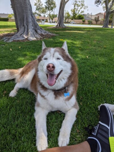 Friendship Park - Cerritos, CA