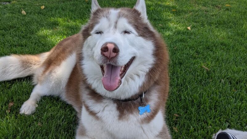 Friendship Park - Cerritos, CA