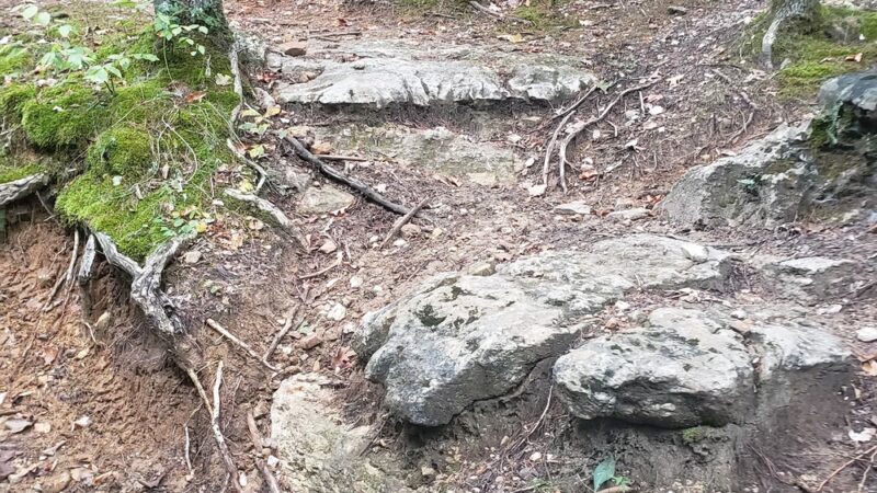 Chadwick Motorcycle and ATV Use Area - Chadwick, MO