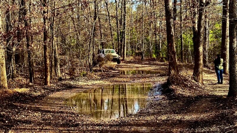 Chadwick Motorcycle and ATV Use Area - Chadwick, MO