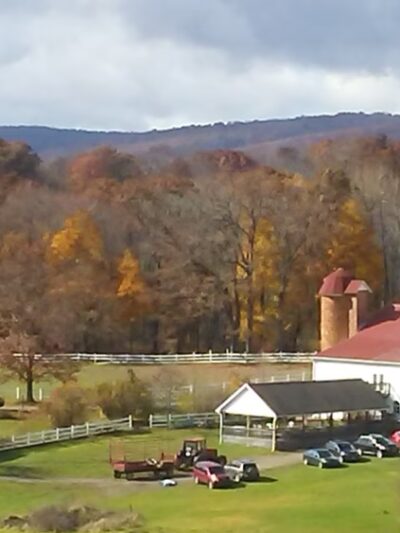 Christian Klay Winery - Chalkhill, PA