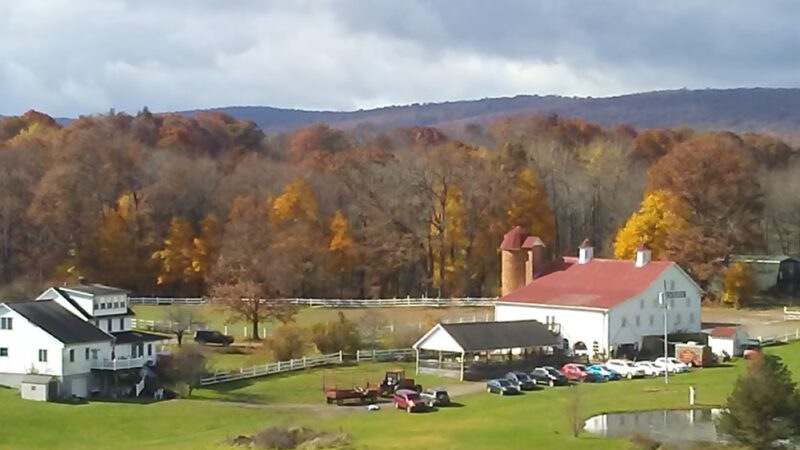 Christian Klay Winery - Chalkhill, PA