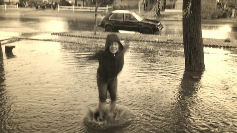 Gazelle Meadows Park - Chandler, AZ