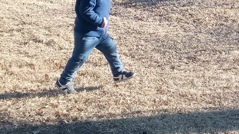 Gazelle Meadows Park - Chandler, AZ