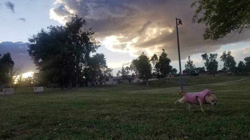 Harmony Hollow Park - Chandler, AZ
