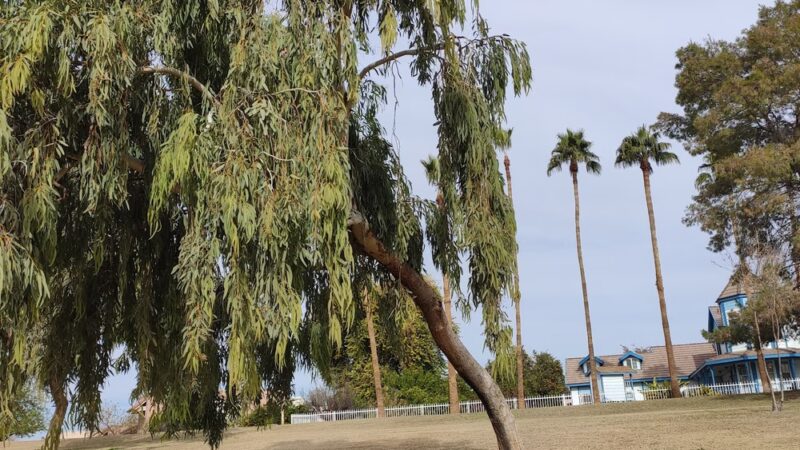 Harmony Hollow Park - Chandler, AZ