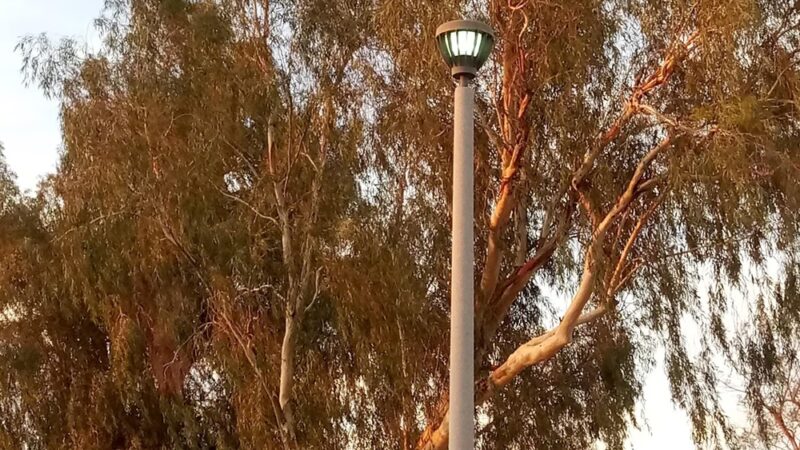 Navarrete Park - Chandler, AZ