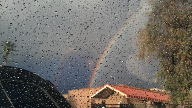 Navarrete Park - Chandler, AZ