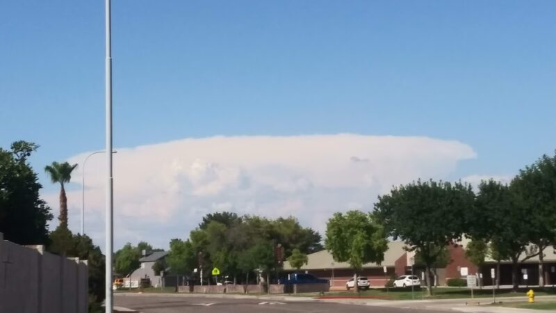 Provinces Park - Chandler, AZ