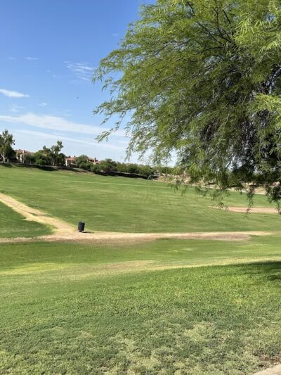 THUDE PARK - Chandler, AZ