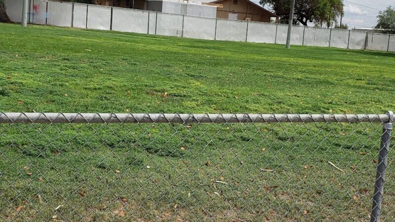 Winn Park - Chandler, AZ