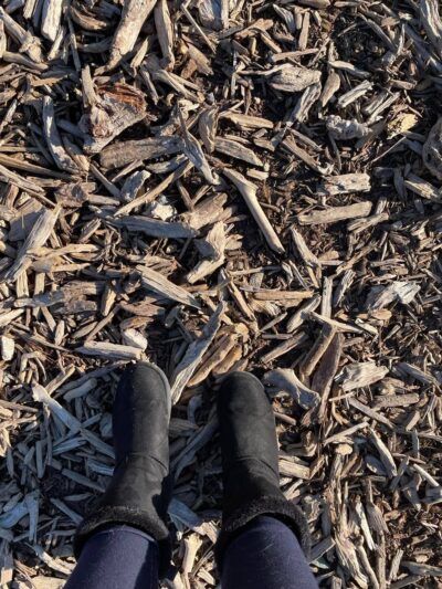 Briar Chapel Dog Park - Chapel Hill, NC