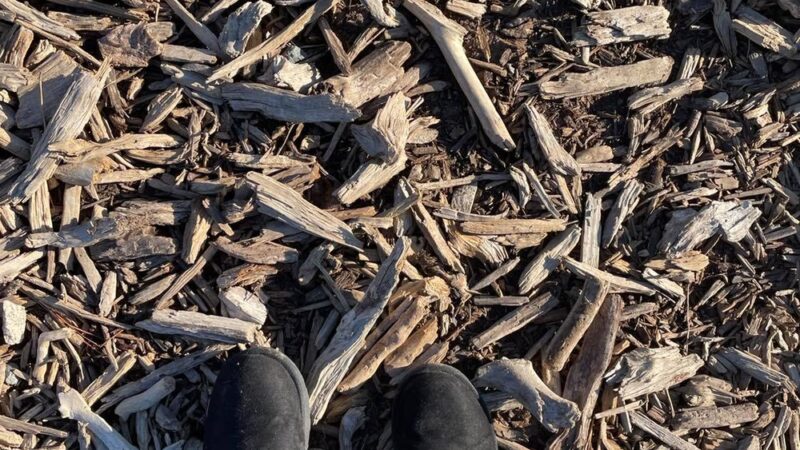 Briar Chapel Dog Park - Chapel Hill, NC