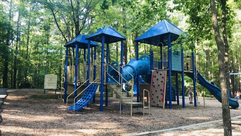 Cedar Falls Park - Chapel Hill, NC