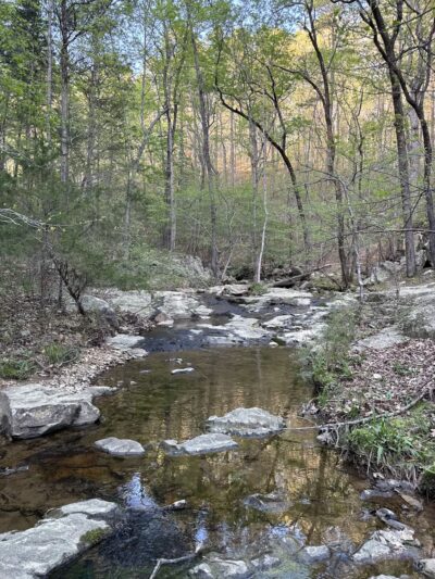 Cedar Falls Park - Chapel Hill, NC
