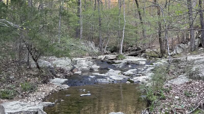 Cedar Falls Park - Chapel Hill, NC