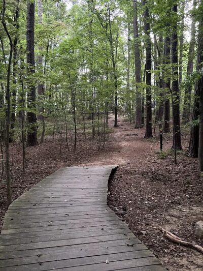 Cedar Falls Park - Chapel Hill, NC