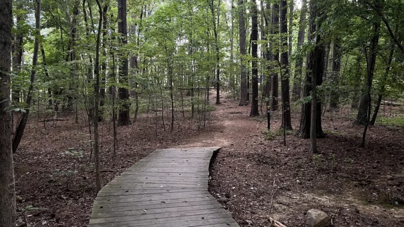 Cedar Falls Park - Chapel Hill, NC