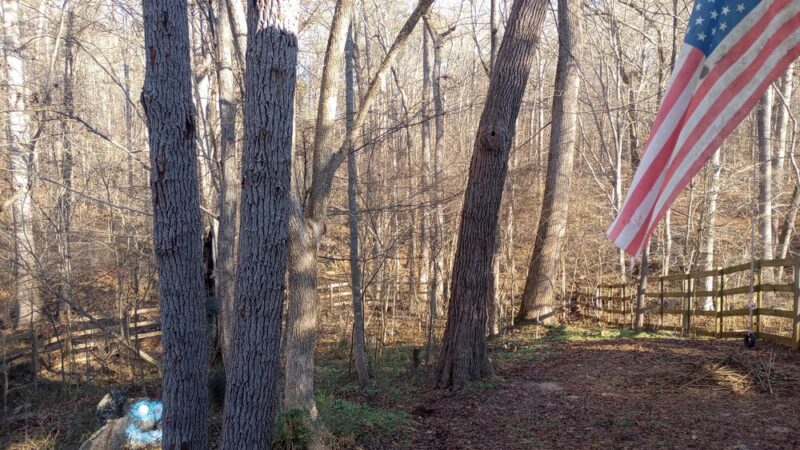 Morgan Creek K-9 Park - Chapel Hill, NC