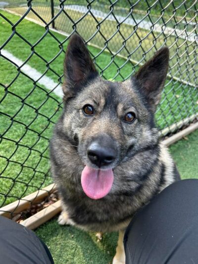 Pawley’s Porch - Chapmanville, WV