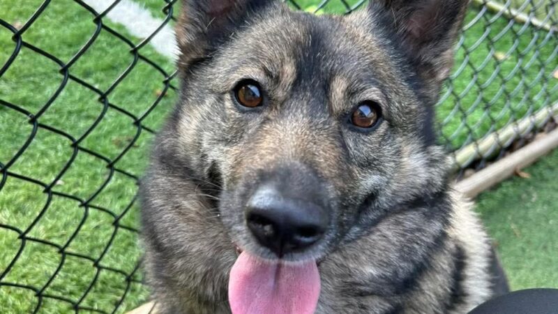 Pawley’s Porch - Chapmanville, WV