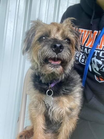 Pawley’s Porch - Chapmanville, WV